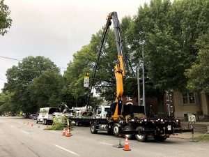 removing tree above powerlines downtown louisville